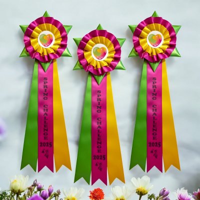 Rosett AURORA 15x38 cm. Från 80:-