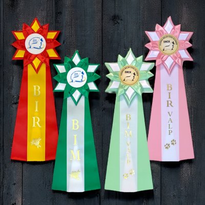 Rosett PAULA 16x40 cm