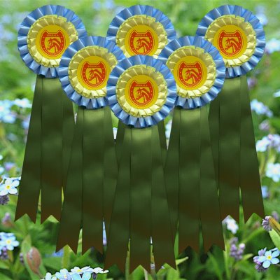 Rosett PETUNIA 12,5x37 cm. Från 67:-