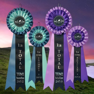 Rosett PETUNIA GRANDE 14x43 cm. Från 85:-